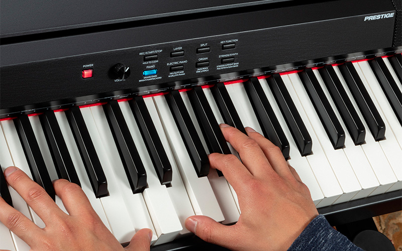 Detail klaviatury ALESIS PRESTIGE